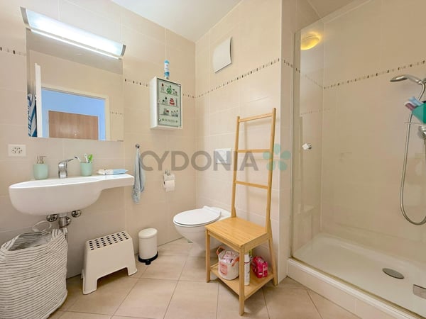 Sublime attique traversant de 1 pièces avec terrasse 9