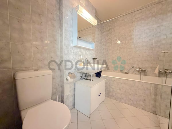 En exclusivité ! Duplex en Attique à deux pas du lac 9