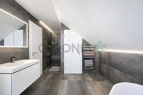 EN EXCLUSIVITÉ Attique d'exception en duplex de plus de 275m² A 15 minutes de Nyon 5