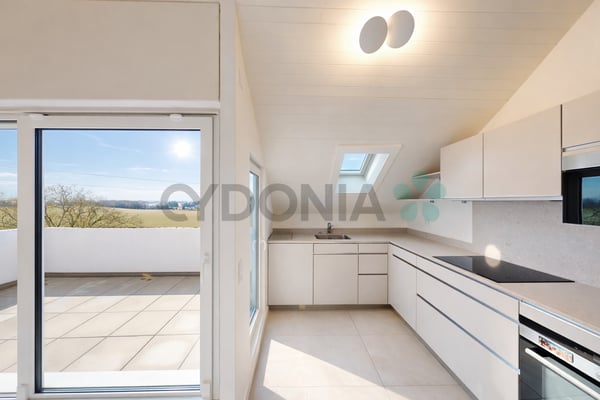 Duplex en attique 3.5 pièces avec terrasse et balcon à Perly 2