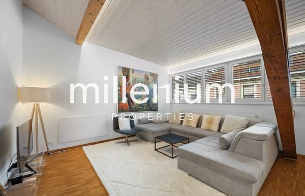 Magnifique appartement meublé en centre ville 1