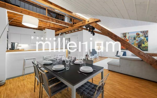 Magnifique appartement meublé en centre ville 2