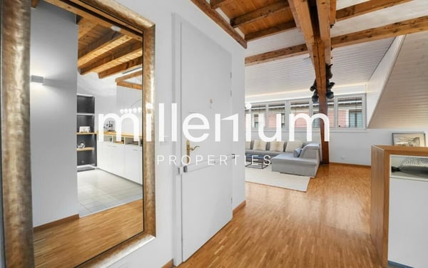 Magnifique appartement meublé en centre ville 8
