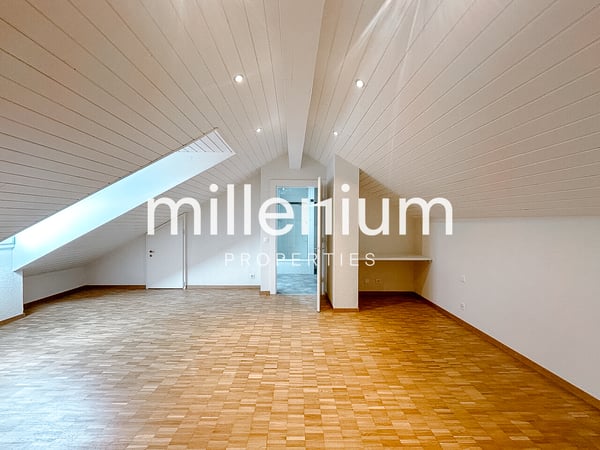 Duplex en attique rénové dans le vieux Carouge 3