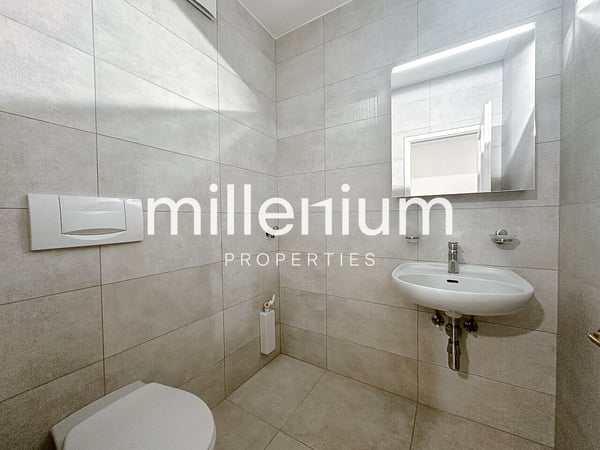 Duplex en attique rénové dans le vieux Carouge 10