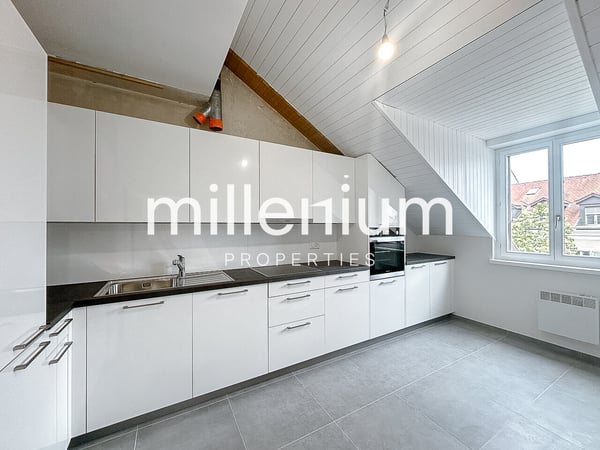 Duplex en attique rénové dans le vieux Carouge 2