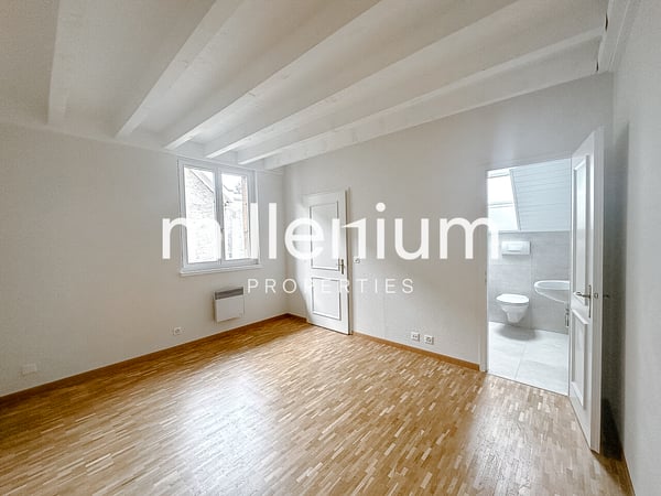 Duplex en attique rénové dans le vieux Carouge 7