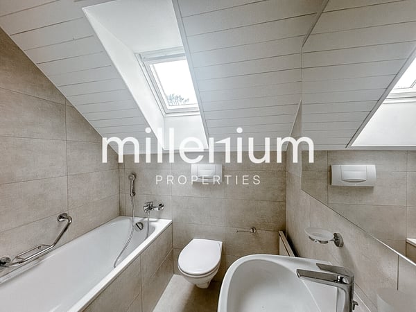 Duplex en attique rénové dans le vieux Carouge 9