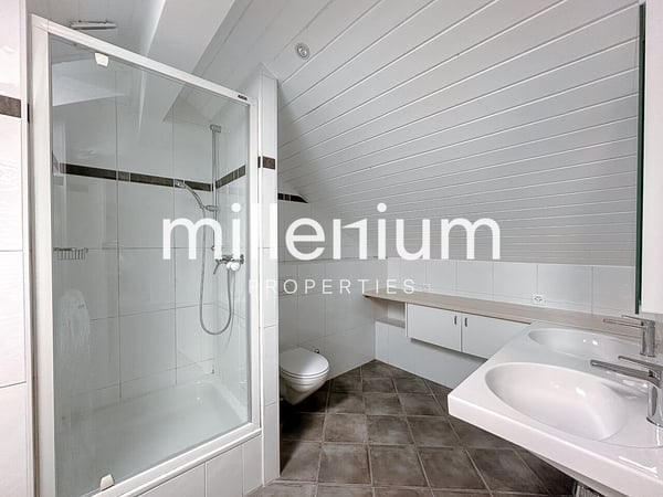 Duplex en attique rénové dans le vieux Carouge 8