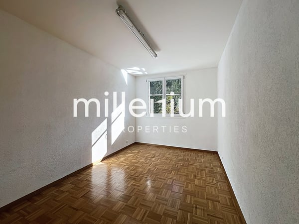 Maison familiale avec jardin à Bellevue 8