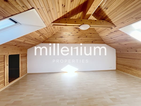 Maison familiale avec jardin à Bellevue 11