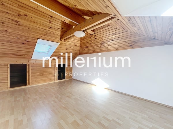 Maison familiale avec jardin à Bellevue 12