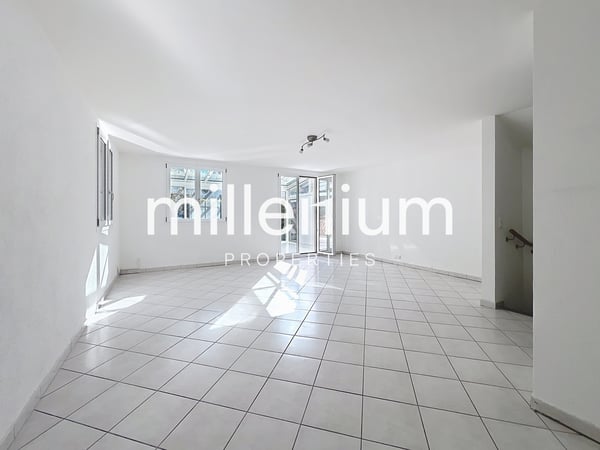 Maison familiale avec jardin à Bellevue 2