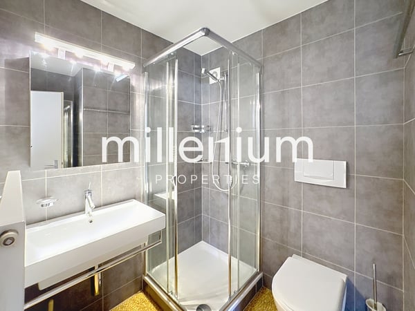 Villa mitoyenne avec piscine au coeur de Plan-les-Ouates 6