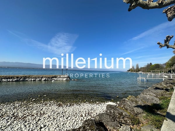 Exceptional Villa in Corsier - Lake View, Spacious, Garden & Pool 5