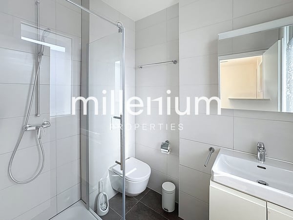 Superbe Villa individuelle au Grand Saconnex 8