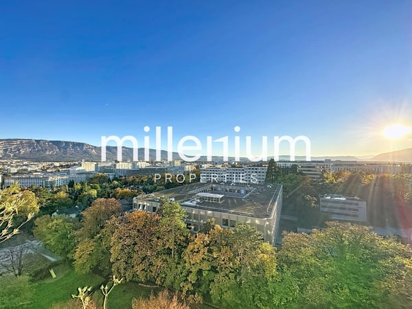 Appartement 1P meublé avec balcon proche ONU 1