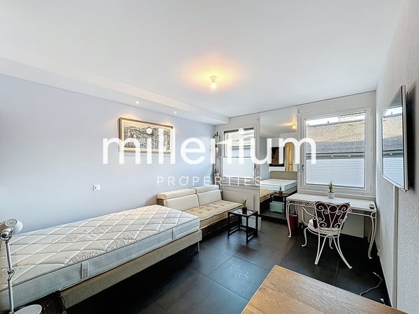 Appartement meublé 1P au coeur de Genève 1