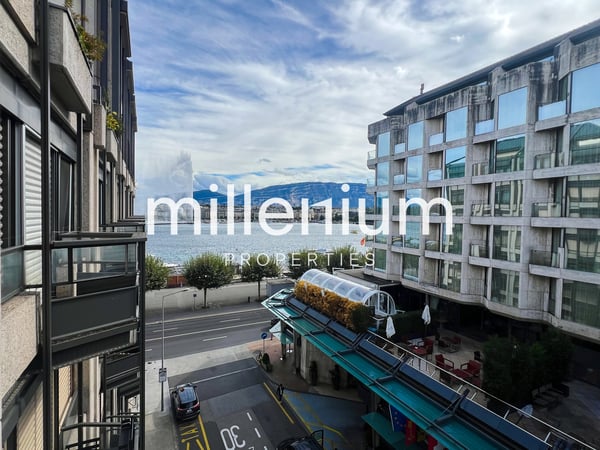 Magnifique appartement meublé, vue sur le jet d'eau 1