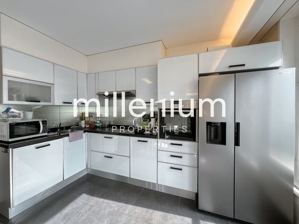 Magnifique appartement meublé, vue sur le jet d'eau 4