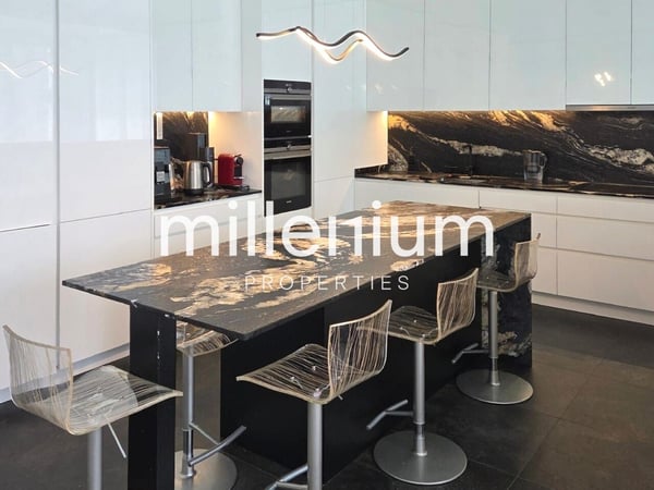 Exceptionnel appartement de 6 pièces - Genève / Eaux-Vives 3