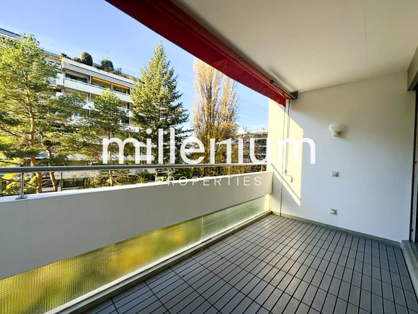 Luxurious apartment near Parc Bertrand, Champel 4