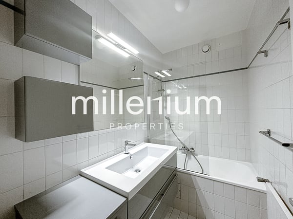 Luxurious apartment near Parc Bertrand, Champel 7