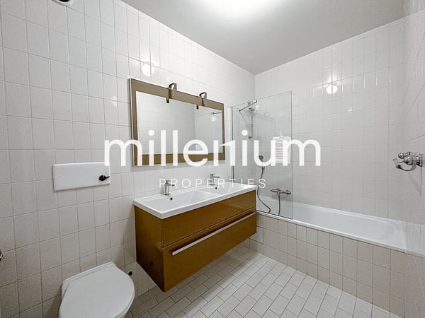 Luxurious apartment near Parc Bertrand, Champel 9