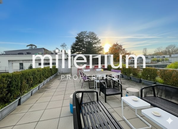 Loft meublé avec jardin et terrasse sur le toit 4