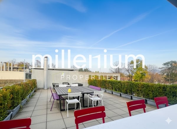 Loft meublé avec jardin et terrasse sur le toit 3