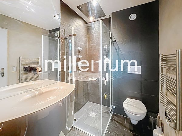 Loft meublé avec jardin et terrasse sur le toit 8