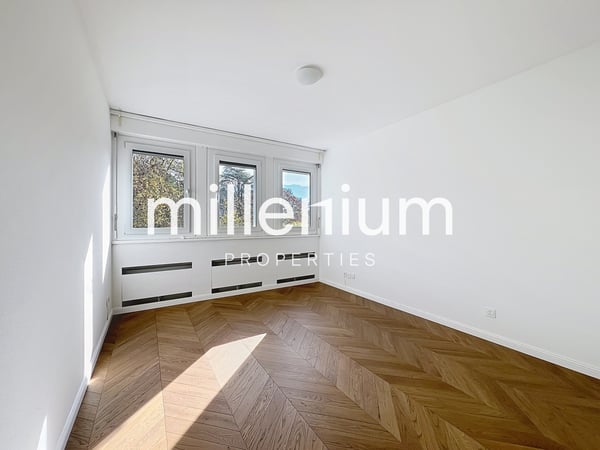 Luxurious apartment near Parc Bertrand, Champel 8