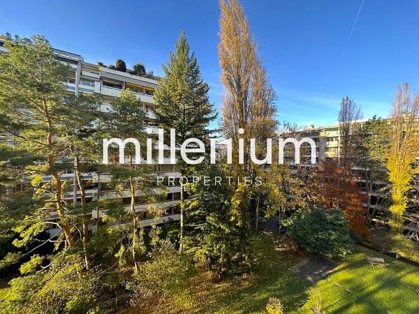 Luxurious apartment near Parc Bertrand, Champel 1