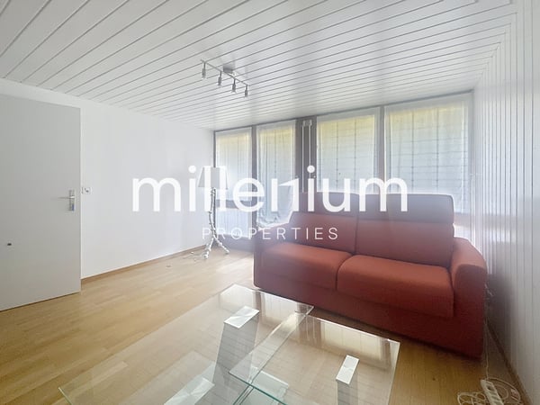 Grande maison meublé avec piscine à Versoix 10