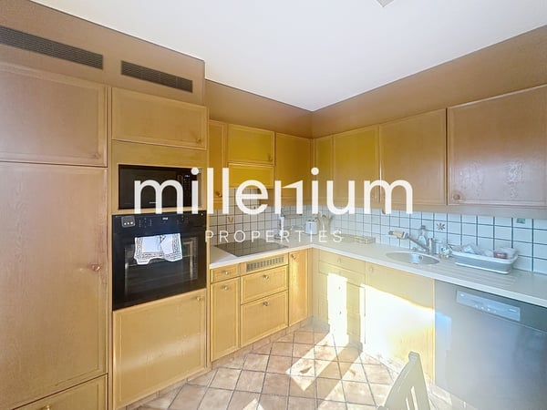 Grande maison meublé avec piscine à Versoix 12