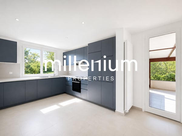 Villa individuelle avec jardin à Veyrier 2