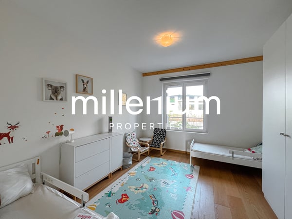 Magnifique duplex à Vésenaz 12