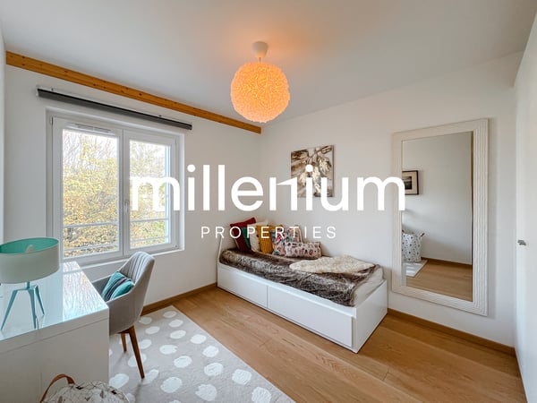 Magnifique duplex à Vésenaz 11