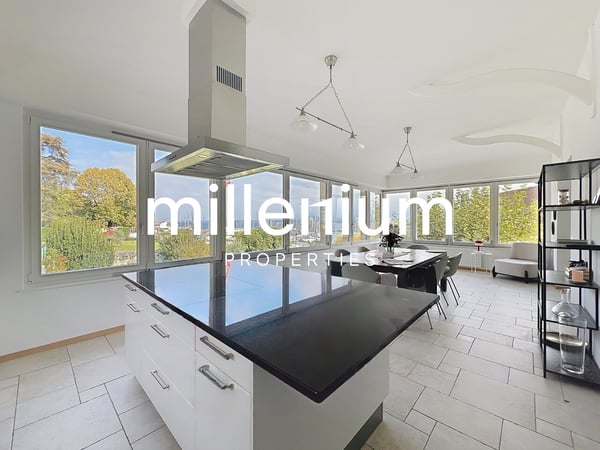 Magnifique villa à deux pas du Lac 2