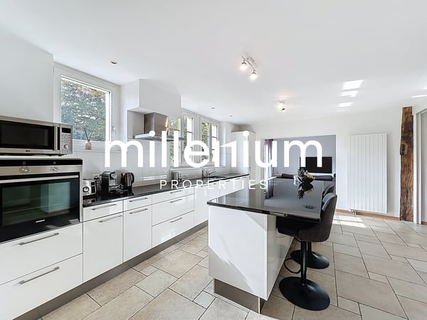 Magnifique villa avec jardin à deux pas du lac 3