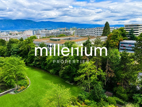 Beautiful, bright, fully renovated apartment 7