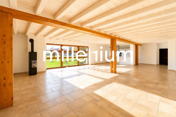 Superbe appartement dans un corp de ferme rénové à Cartigny. 1
