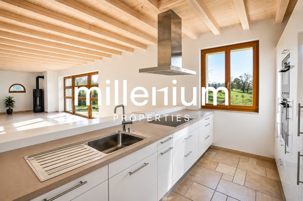 Superbe appartement dans un corp de ferme rénové à Cartigny. 2