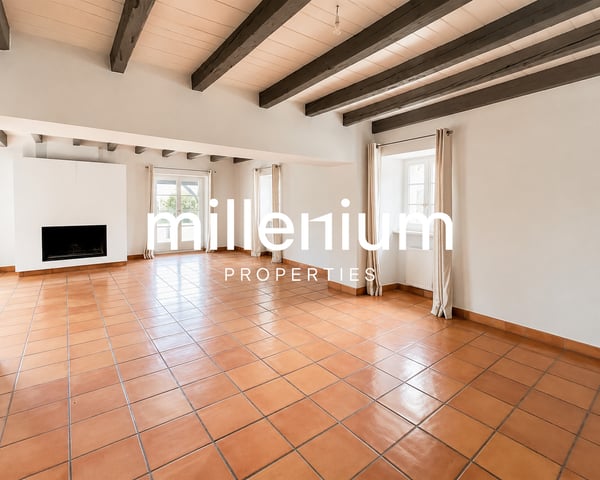 Maison de Maitre de 12P à Vésenaz 3