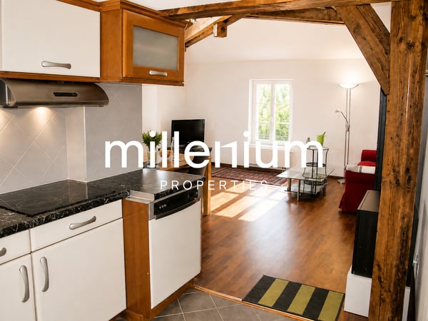 Petit-Lancy - bel appartement avec terrasse de 18 m² & 2 parkings 4