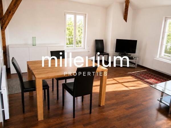 Petit-Lancy - bel appartement avec terrasse de 18 m² & 2 parkings 9