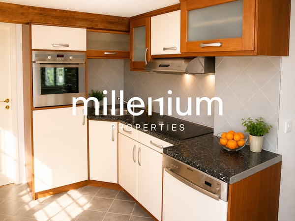 Petit-Lancy - bel appartement avec terrasse de 18 m² & 2 parkings 3