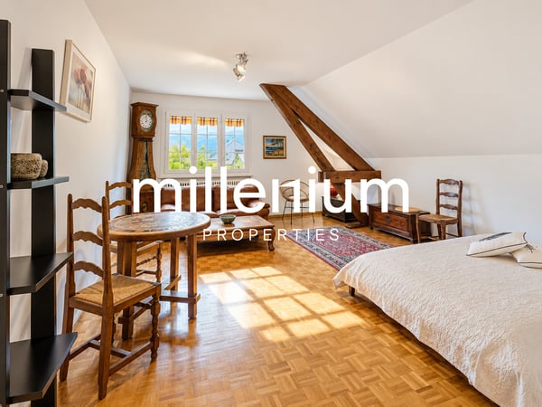 Appartement 2 pièces meublé - Situation privilégiée au coeur de Veyrier 3
