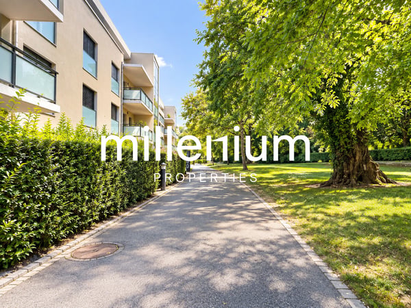 Appartement 6,5 pièces avec terrasse et jardin privatif 6