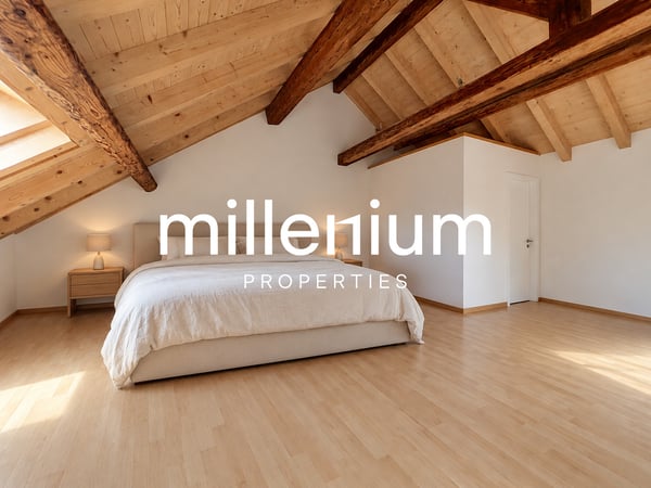 Jolie maison villageoise à Bardonnex 5